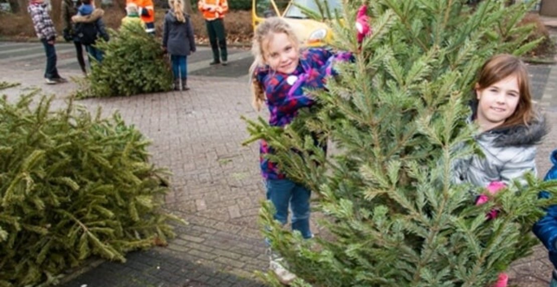 Kerstbomen Inzameling Graag Direct Een Beloning Per Boom